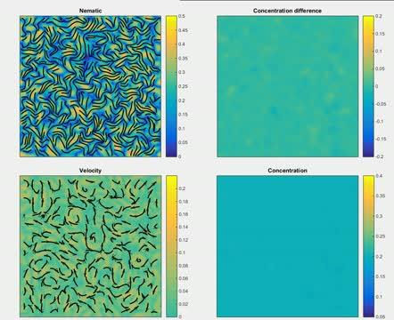 Liquid Crystal Model