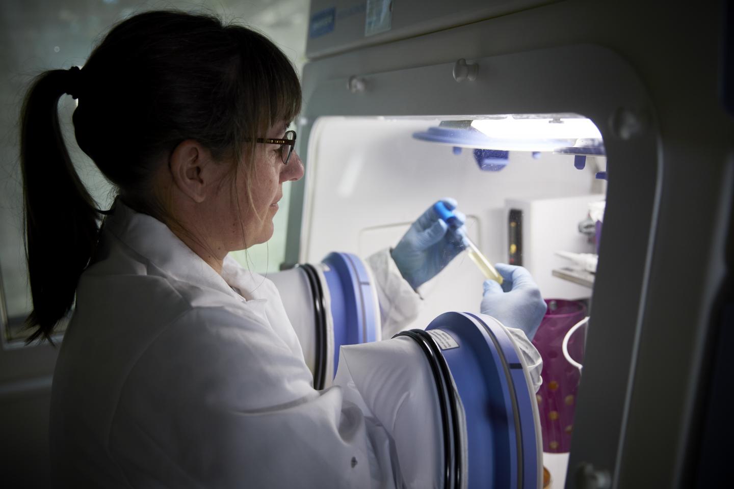 Associate Professor Clarissa Schwab