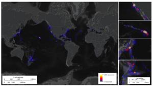 Deep-Sea Dive Activity, 1958-2024