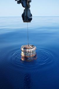 Collection of water samples