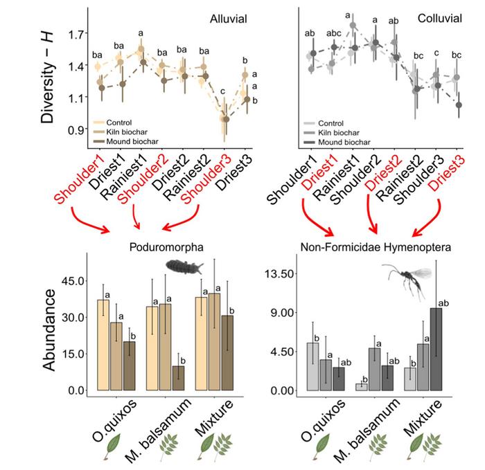 Invertebrate community responses to biochar addition in NTFP-enriched Amazonian secondary forests