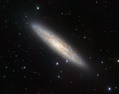 Wide-Field View of NGC 253 from the VLT Survey Telescope