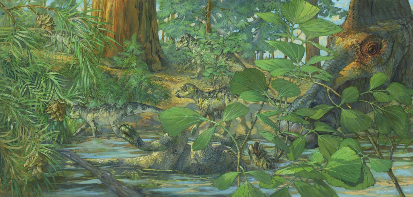 Reconstruction