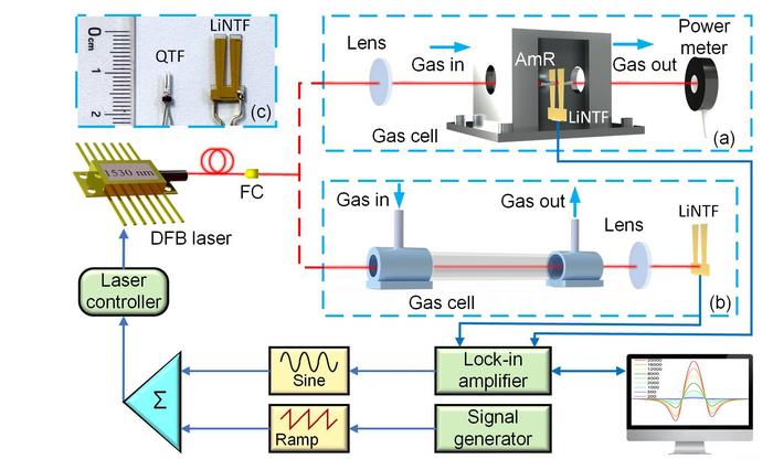 Schematic diagrams of the acetylene sensor