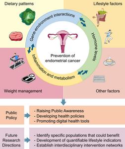 Risk factors and multidimensional prevention framework map