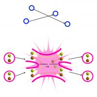 Conventional Theories