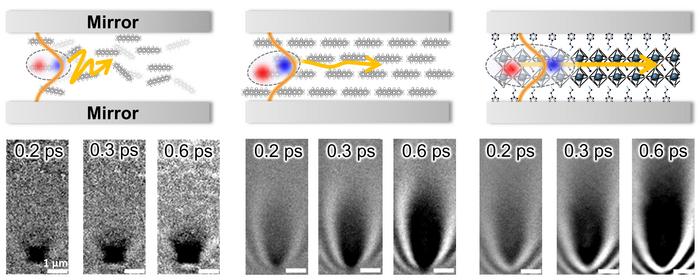 Polariton Playbook