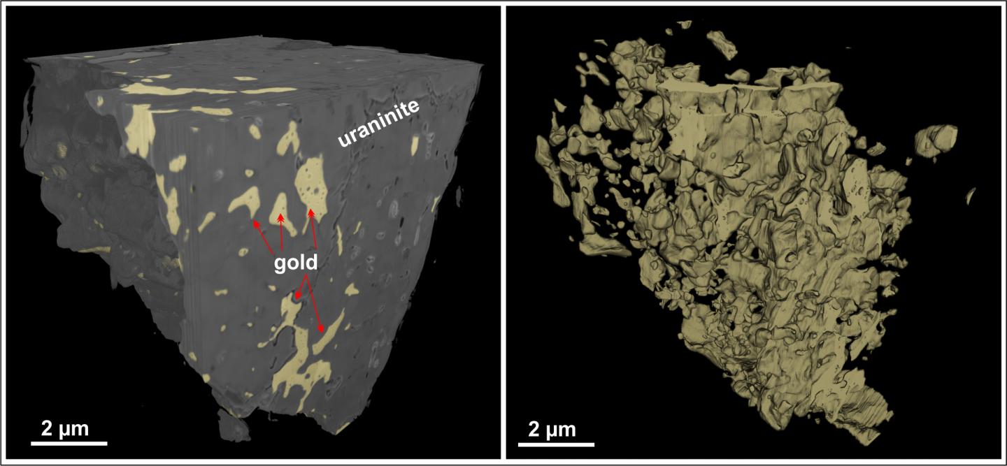 Reconstructed 3-D Model of a Nanotomography