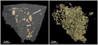 Reconstructed 3-D Model of a Nanotomography