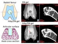 Gels Implanted in Rabbit Femurs