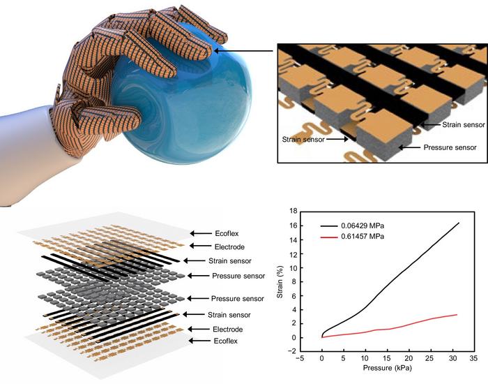 The high-density, high-performance stretchable multimodal sensor for hardness perception enables the differentiation of objects with varying Young's modulus.