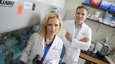 Agnieszka Witkiewicz, MD and Erik Knudsen, PhD, UA Cancer Center