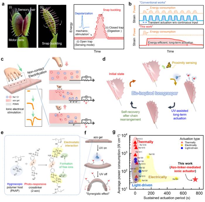 KAIST Develops a Venus Flytrap-Inspired ‘Robot Hand’ Material That Senses Objects and Grasps Them Under Light