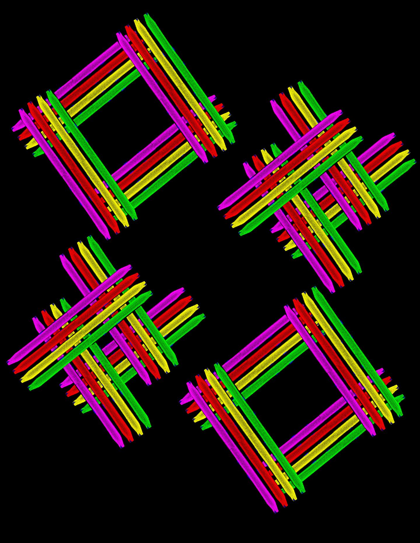Myofibers