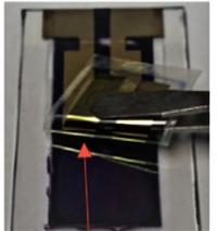 Fabrication of a Photoelectrochemical Device