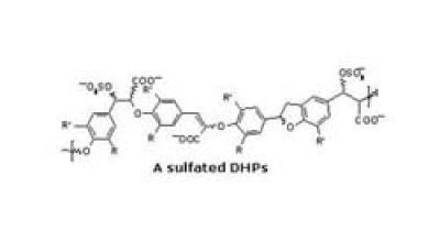 Desai Clotting (2 of 2)