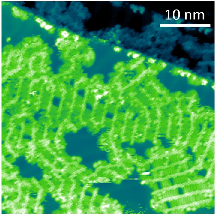 STM Image Showing How the Detail of the Structure of C14DPPF-F Can Be Seen 2