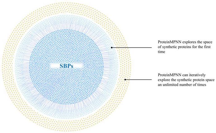 Expanding the sequence space of SBPs by ProteinMPNN