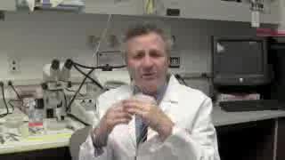 Dr. Stuart Lipton Describes Nature Medicine Paper