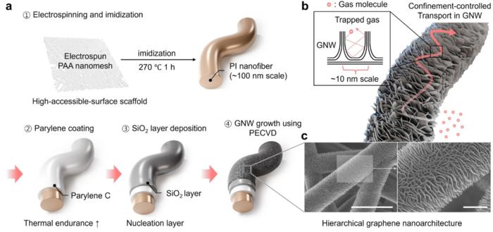 GNW Nanomesh Manufacturing Method