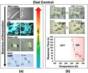 【Fig.1】Construction of a dual control system using light and heat