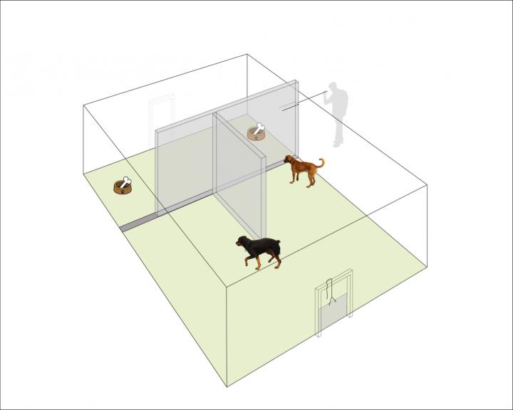 Test Setup