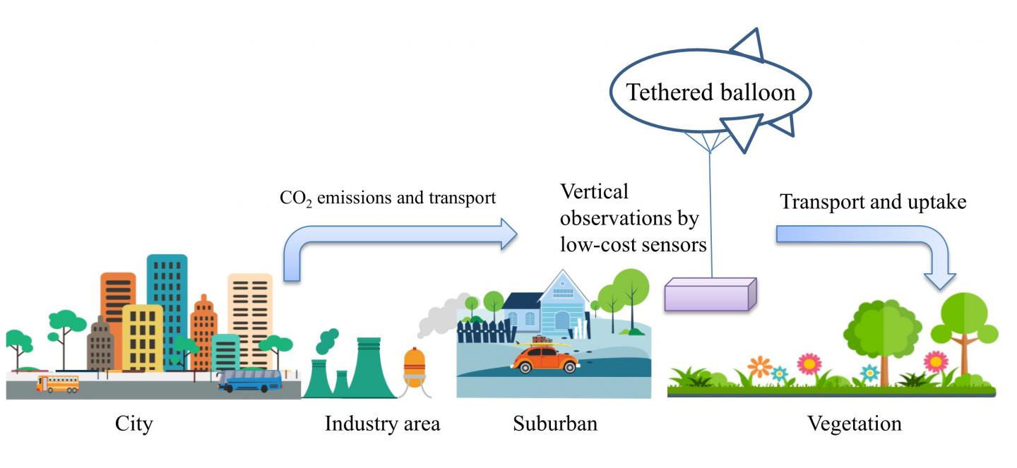Vertical Observations of CO2