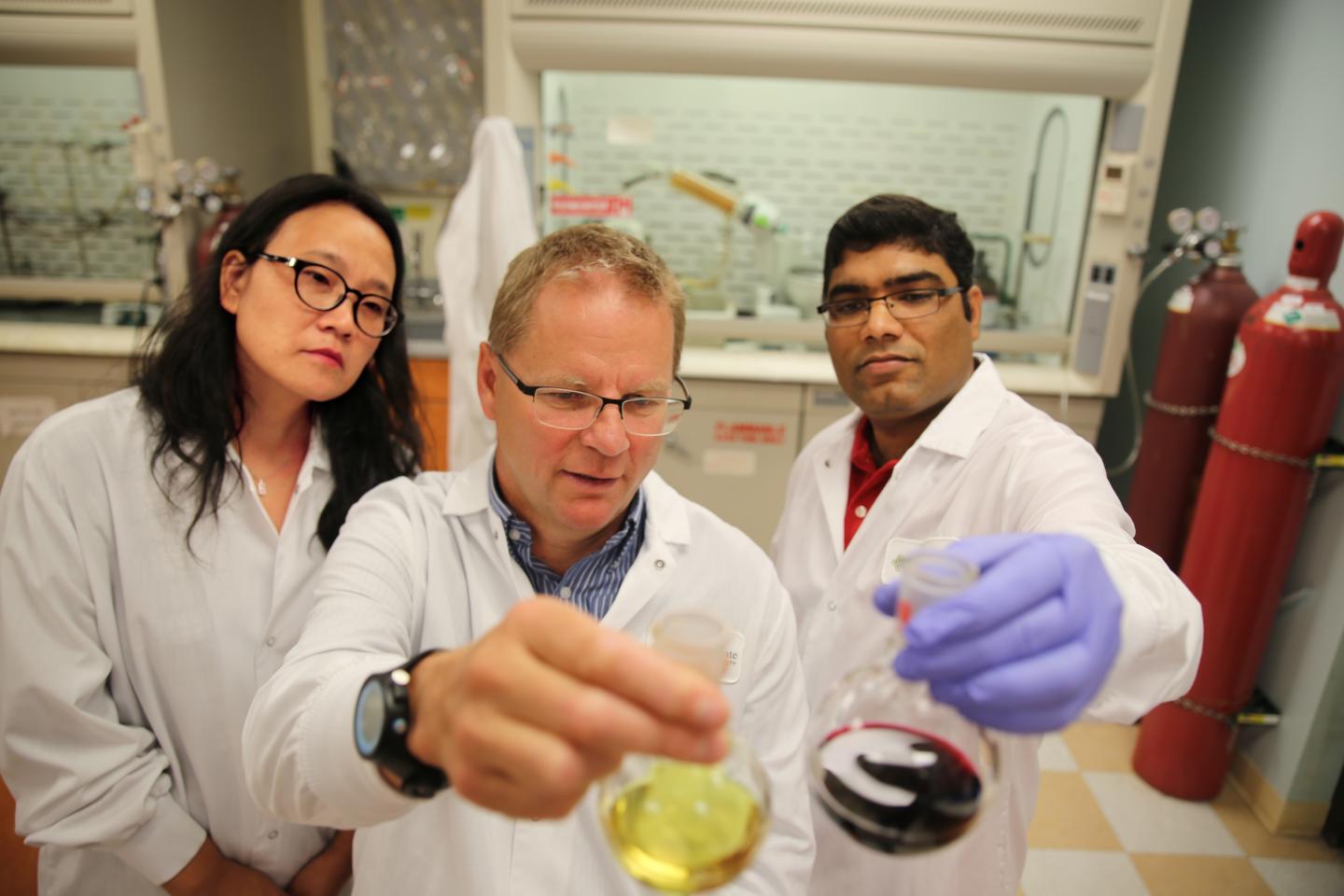 Portland State Malaria Research Team
