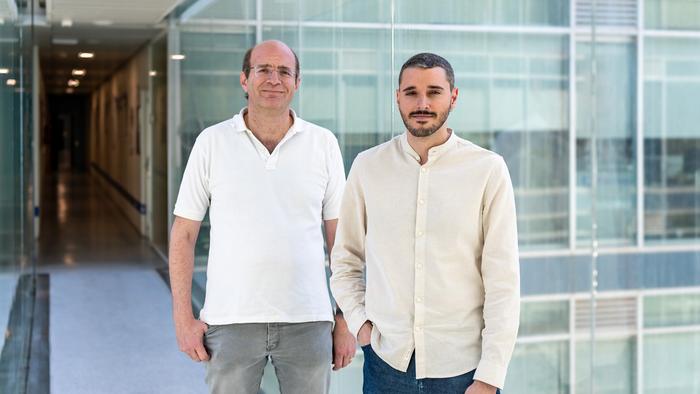 Researchers from the SABIEN group at the ITACA Institute of the Universitat Politècnica de València (UPV)
