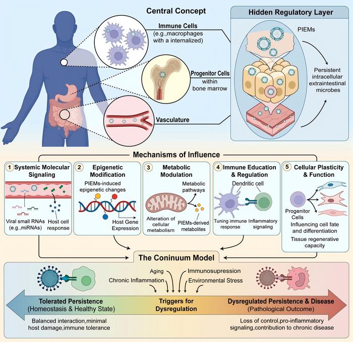 Persistent Intracellular Extraintestinal Microbes (PIEM): The "invisible inhabitants" and "system tuners" within the human body.