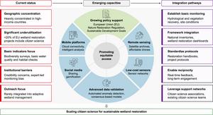 Roadmap for scaling citizen science in wetland restoration.