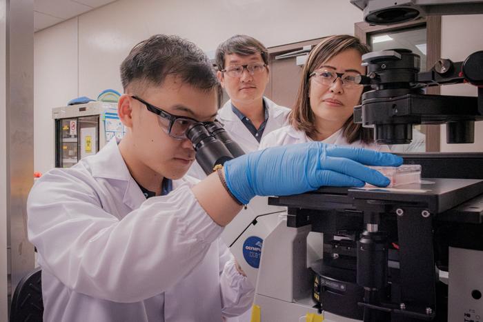 Asst Prof Eliza Fong (right) with co-corresponding author Dr. Johnny Ong (back row) from the National Cancer Centre Singapore, and another researcher from the study at work in their lab.