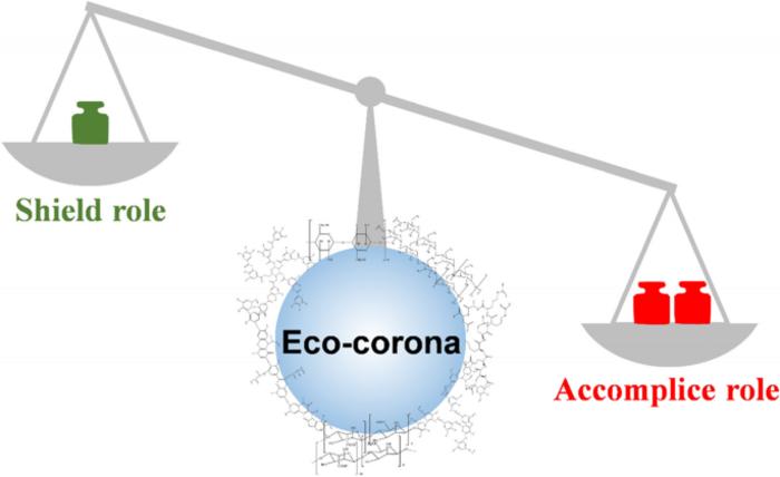 A critical review on the biological impact of natural organic matter on nanomaterials in the aquatic environment