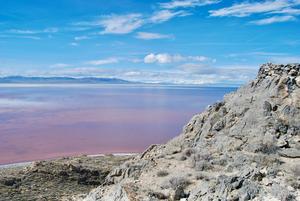 Gunnison Island