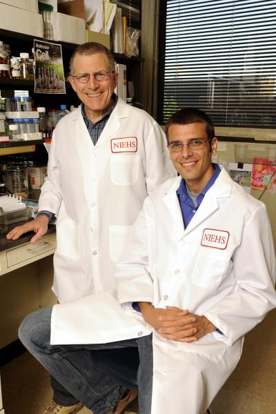 Dmitry Gordenin and Steven Roberts, NIH/National Institute of Environmental Health Sciences 