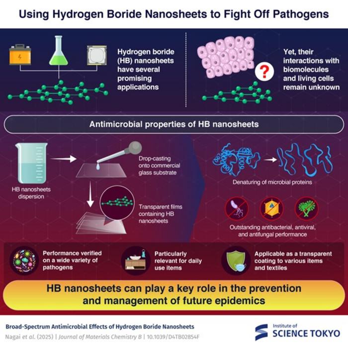 Using hydrogen boride nanosheets to fight off pathogens