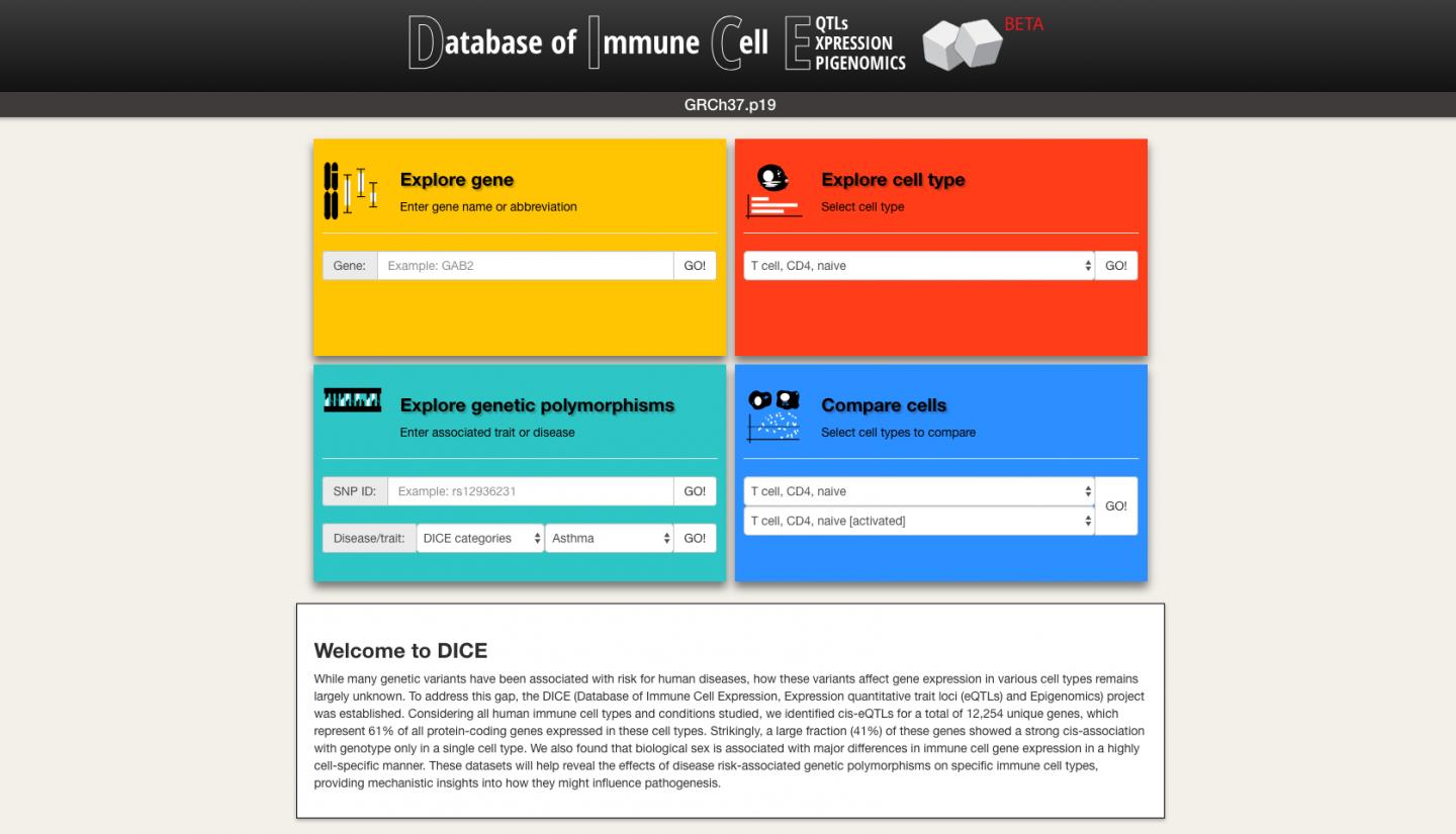 DICE Database