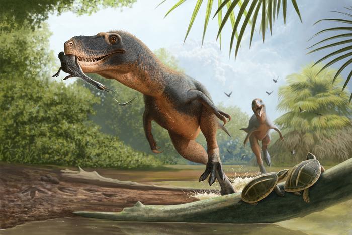 Illustration of Nanotyrannus