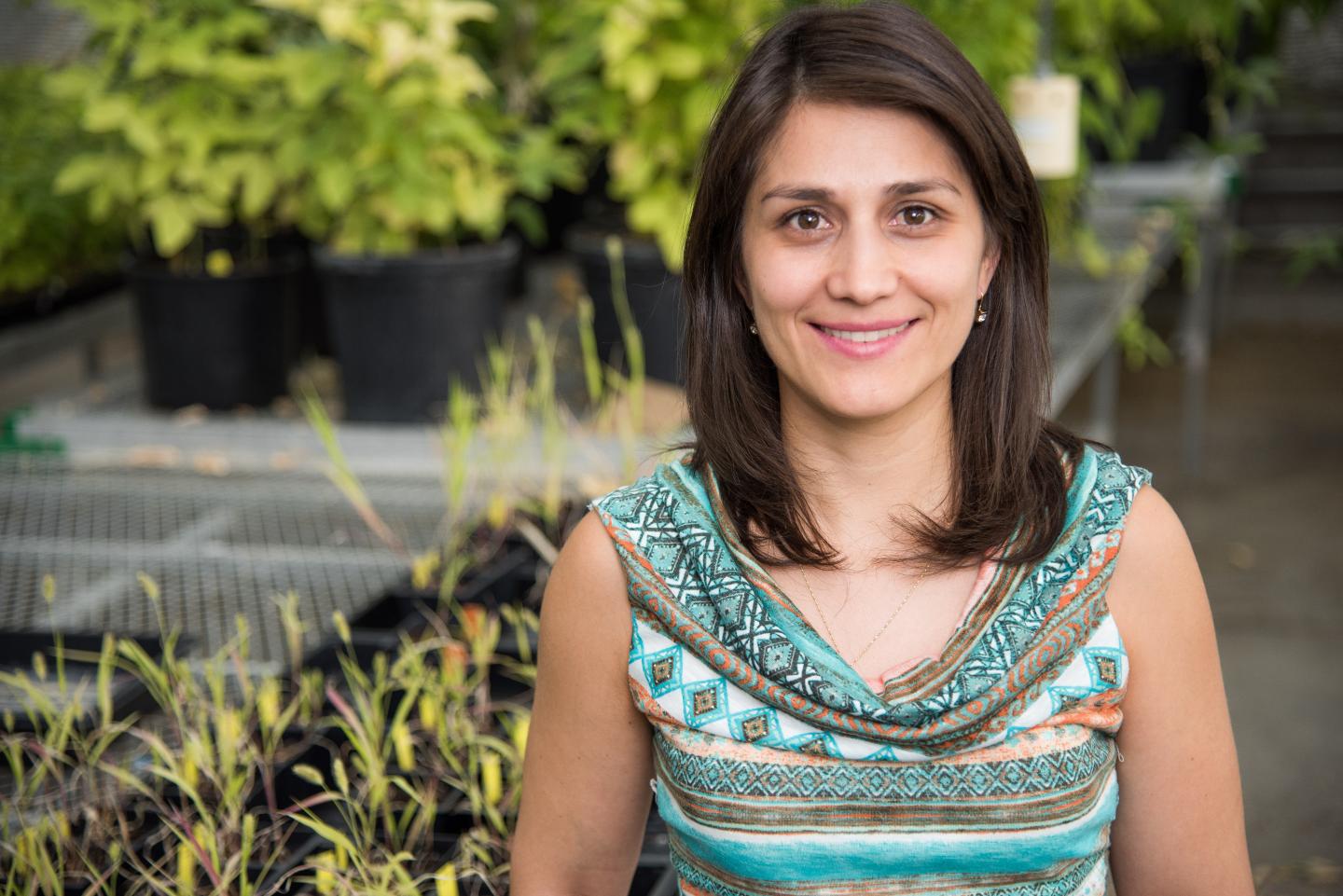 Fernanda Amaral, University of Missouri-Columbia