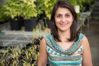 Fernanda Amaral, University of Missouri-Columbia