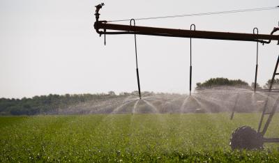 Irrigation System