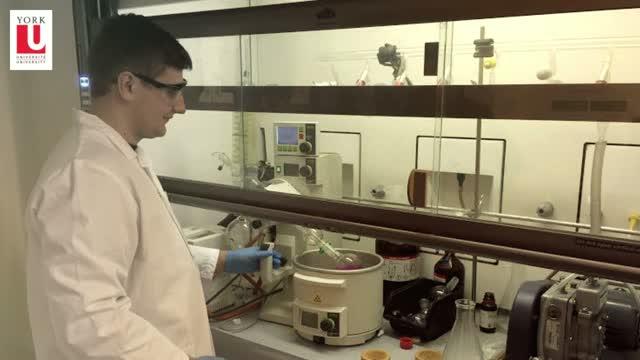 York U Makes a 3-D Heart Beat as One