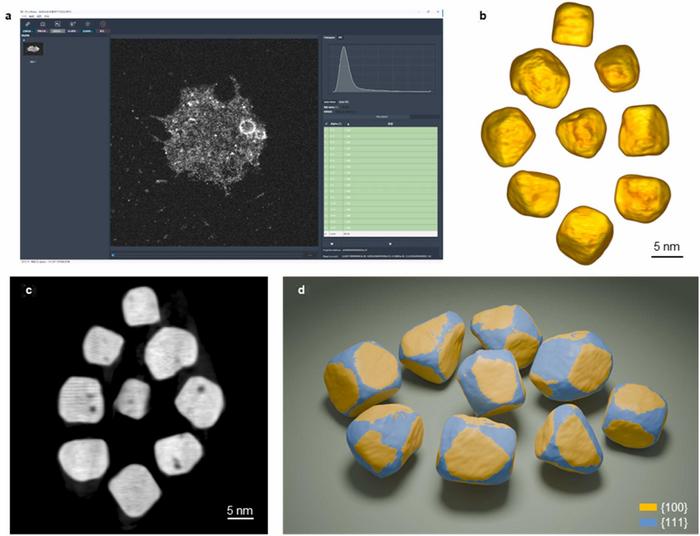 ZhouTomo automated acquisition platform and reconstructed Pt nanoparticle assembly