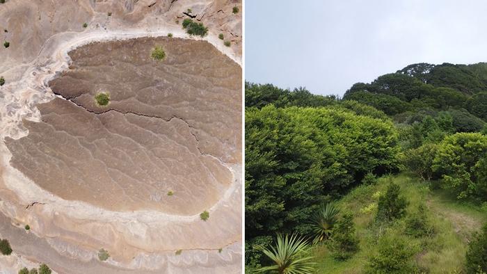 Two biomes of Ascension island