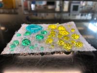 Hydrophobic Coating