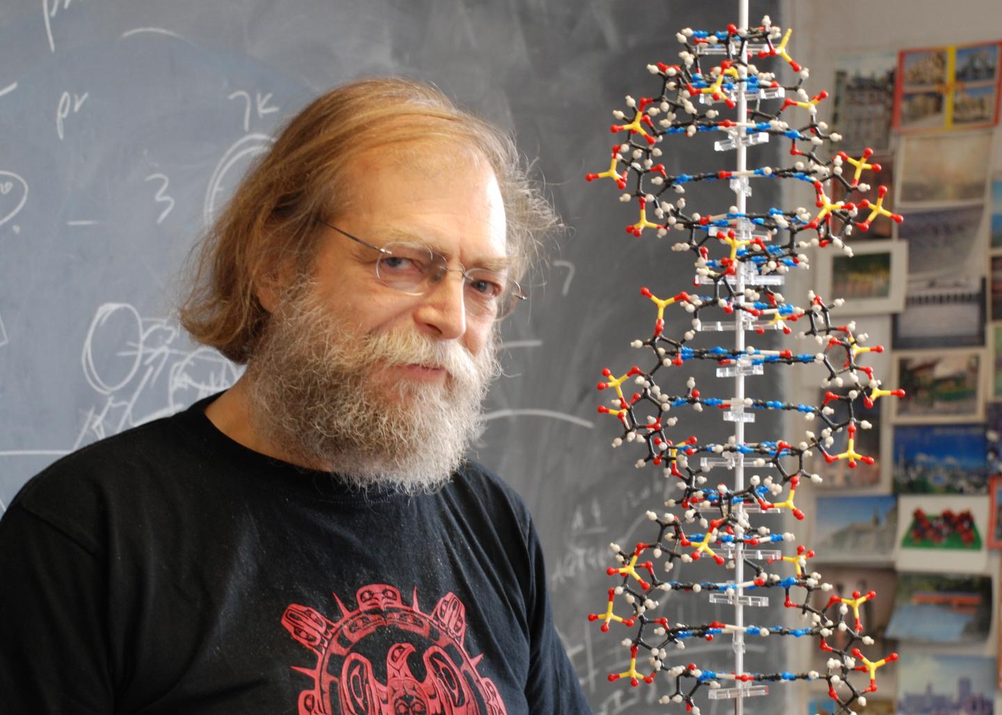 Nadrian Seeman, New York University