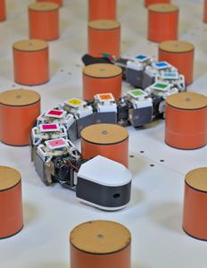 The BioRob Lab's amphibious eel-like robot.