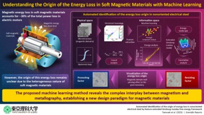 Proposed extended Ginzburg-Landau (GL) framework for automated analysis of magnetization reversal in nonoriented electrical steel (NOES)