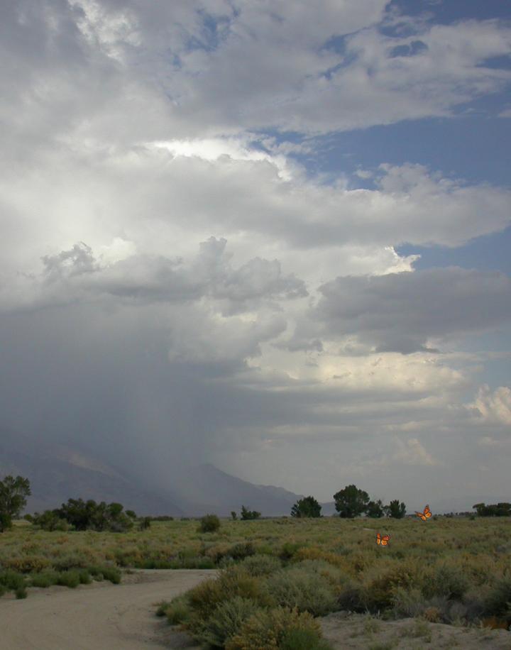 Thunderstorm Photo