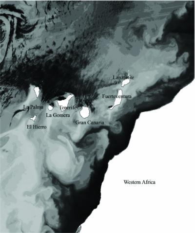 Ocean Map
